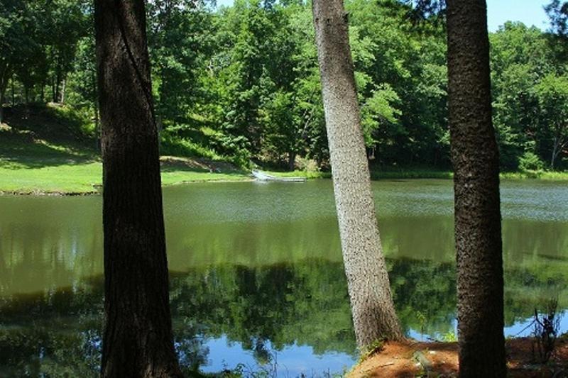 Вилла Twin Lakes - Hurley Номер фото
